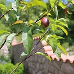 Alojamento de Acomodação e Pequeno-almoço Sojat 3*