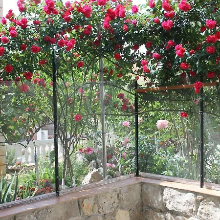 Sojat Nocleg ze śniadaniem 3*