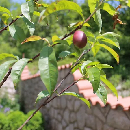 Bed & Breakfast Sojat 3*