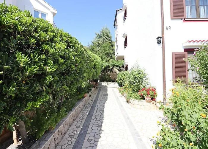 Bed and breakfast Sojat