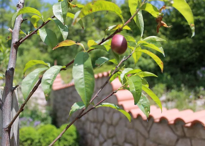 Bed and breakfast Sojat 3*