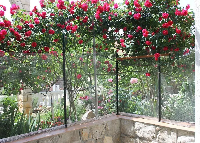 Sojat Bed and breakfast 3*